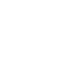 Trusted Platform Icon